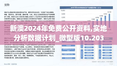 全面解析,2025年新澳正版资料查询方法与落实策略