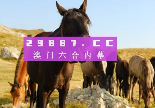 澳门管家婆一肖一码一中一开|精选资料解释大全