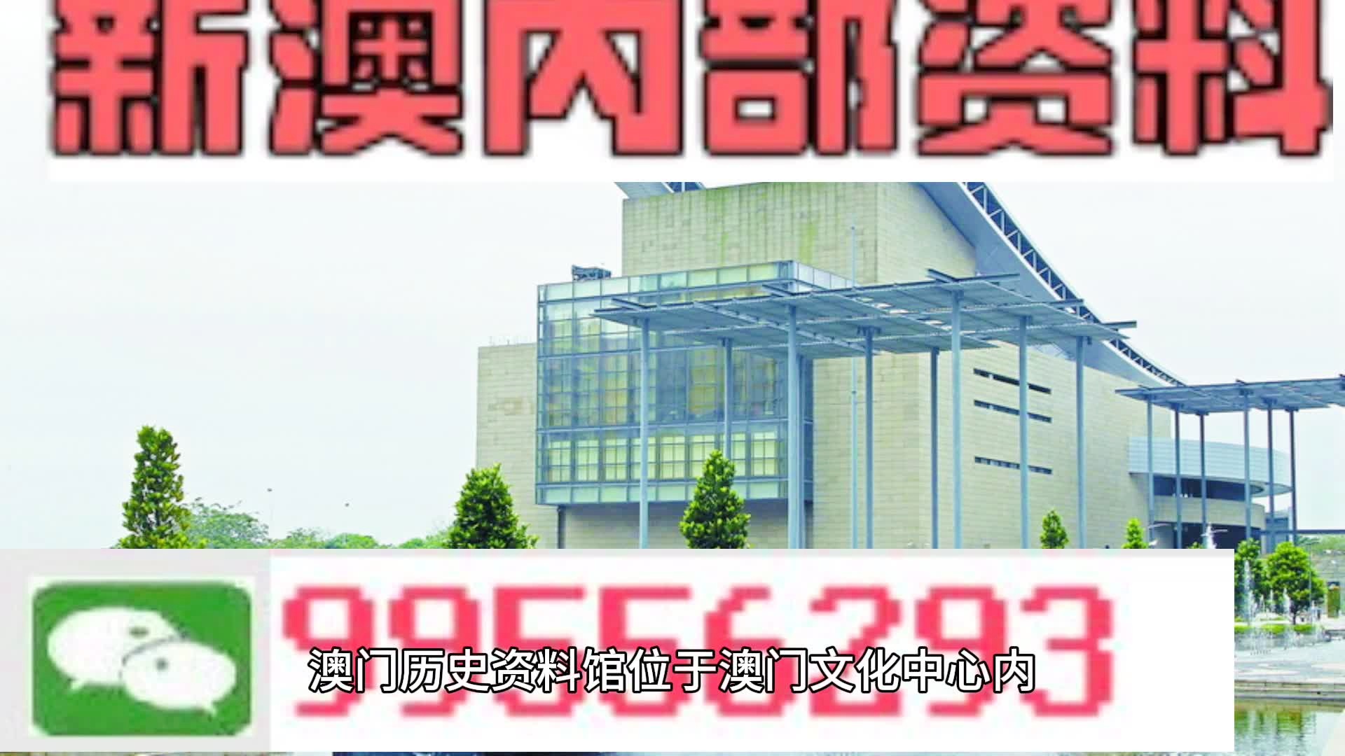 新澳门资料免费长期公开,2024|精选资料解释大全